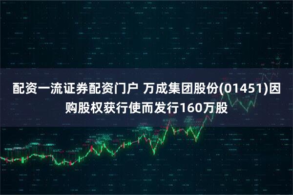 配资一流证券配资门户 万成集团股份(01451)因购股权获行使而发行160万股