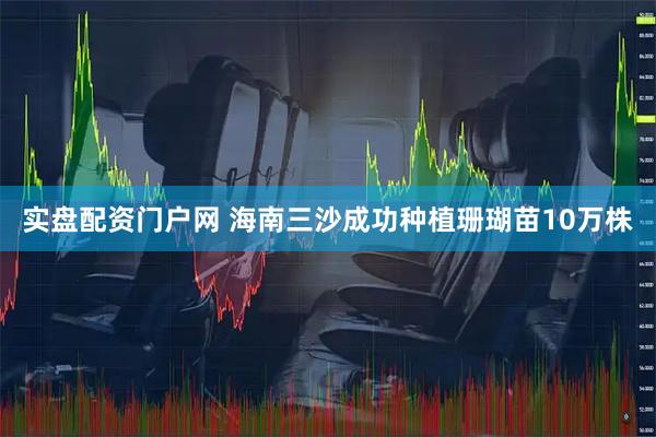 实盘配资门户网 海南三沙成功种植珊瑚苗10万株